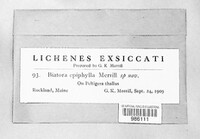 Image Associated With the Occurence
